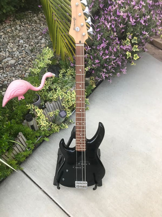 1990's Brownsville Left Handed Full Scale Bass Project